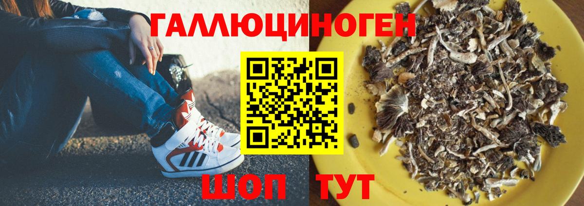 Псилоцибиновые грибы прущие грибы  Галлюциногенные грибы прущие грибы  Наро-Фоминск  Вход с VPN 